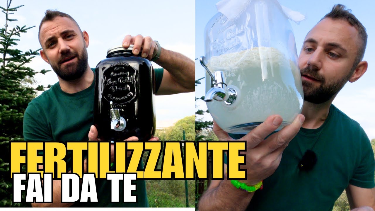 LATTOBACILLI (LAB) - BATTERI AMICI DELL' ORTO #nodig #gardening #rhizophagy