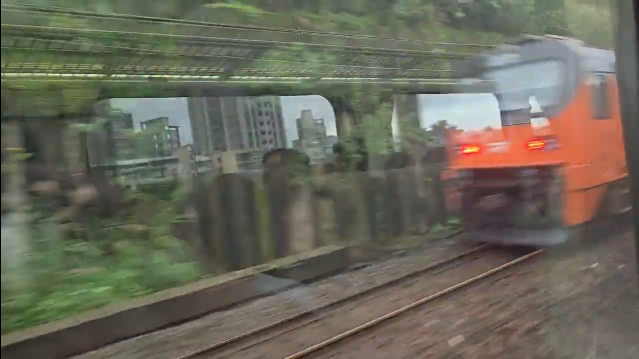 272次苗栗發車開往花蓮的PPE1008單電豬PP電頭+十二節PP車廂+PPE1019單電豬PP電頭PP自強號，和1135次基隆發車開往北湖的銀綠色微笑號EMU900型十輛一編組EMU949區間車