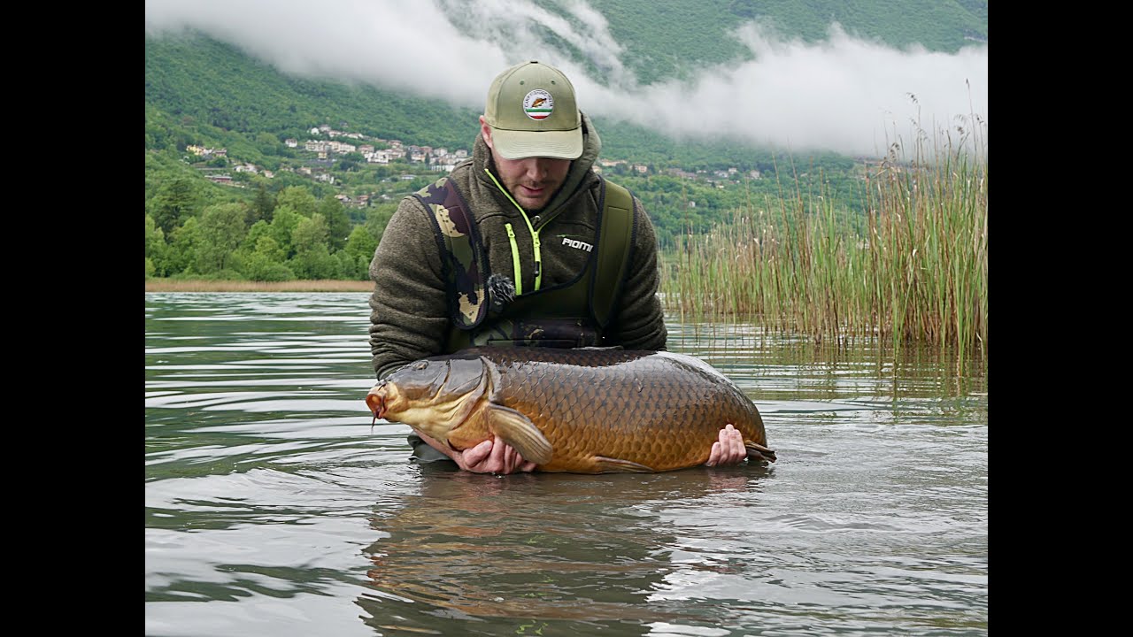 Endine | Carpfishing Business