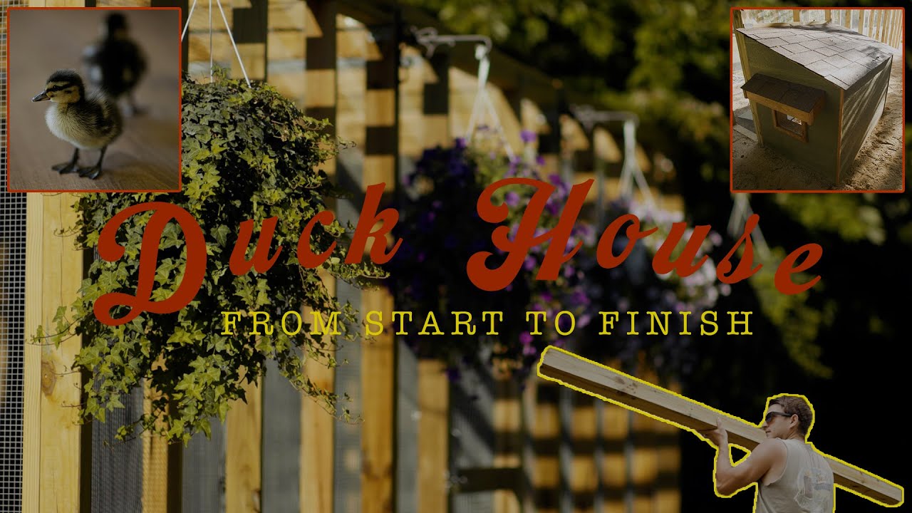 DIY Duck House Build From Start to Finish | Duck House Tour | Self Draining Duck Pond