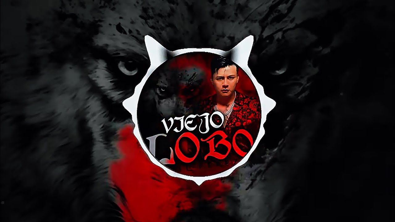 Gil P&eacute;rez - Viejo Lobo (Official Visualizer)