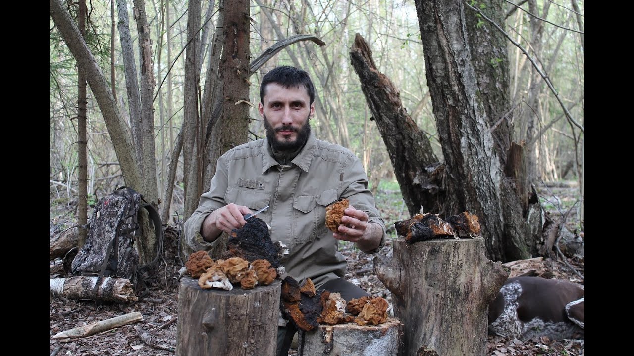 Выживание в дикой природе I Питание и голодание