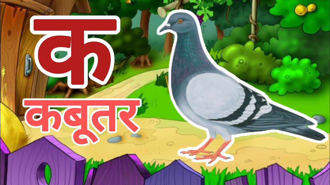 क से कबूतर,अ से अनार a se anaar k se kabutar | Hindi varnmala | ABCD क से कबूतर अ से अनार, for kids
