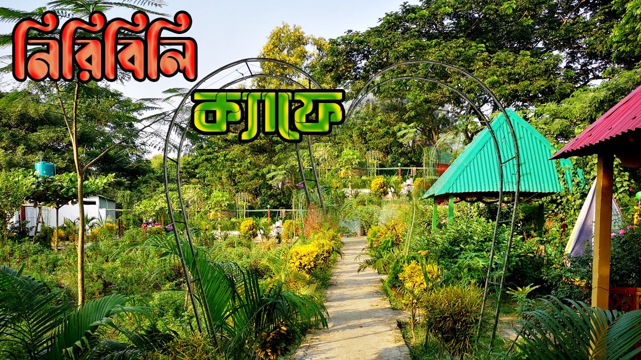 Keraniganj Niribili cafe।  নিরিবিলি ক্যাফে কেরানিগঞ্জ।