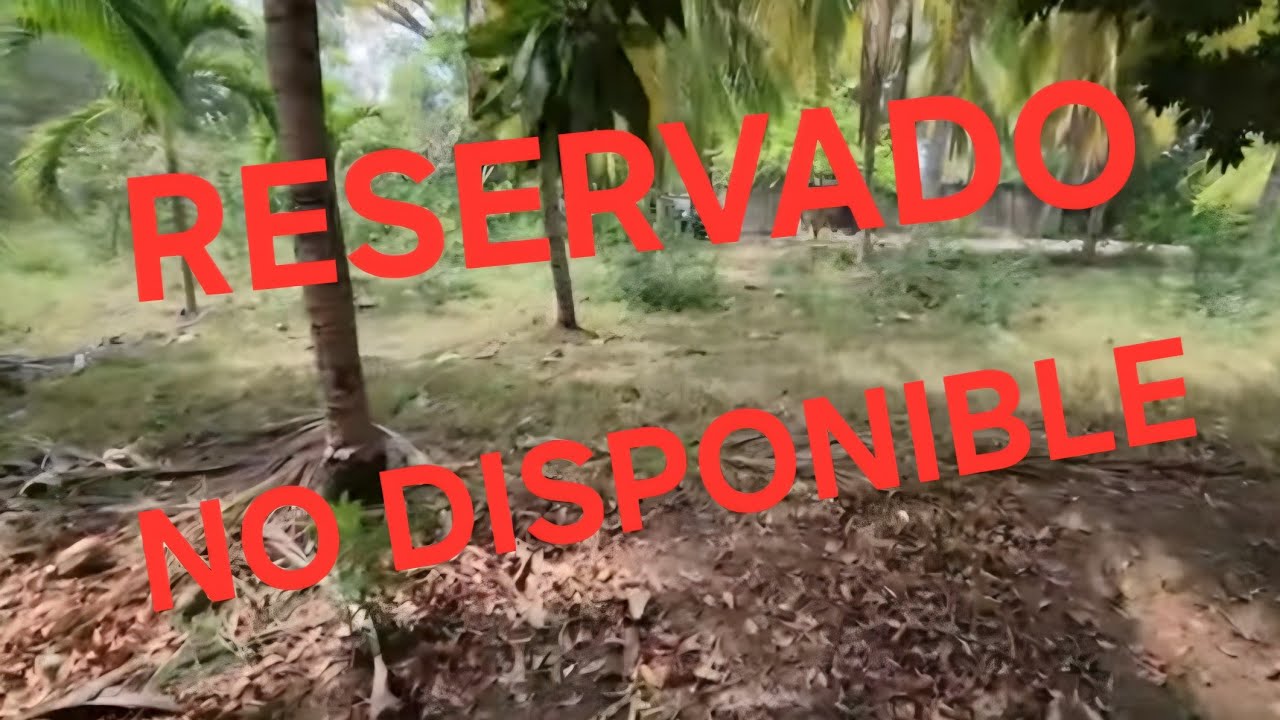 RESERVADO NO  DISPONIBLE  🚫 LOTES AL CREDITO EN BARRA SALADA SONSONATE CADA LOTE MIDE 563 METROS