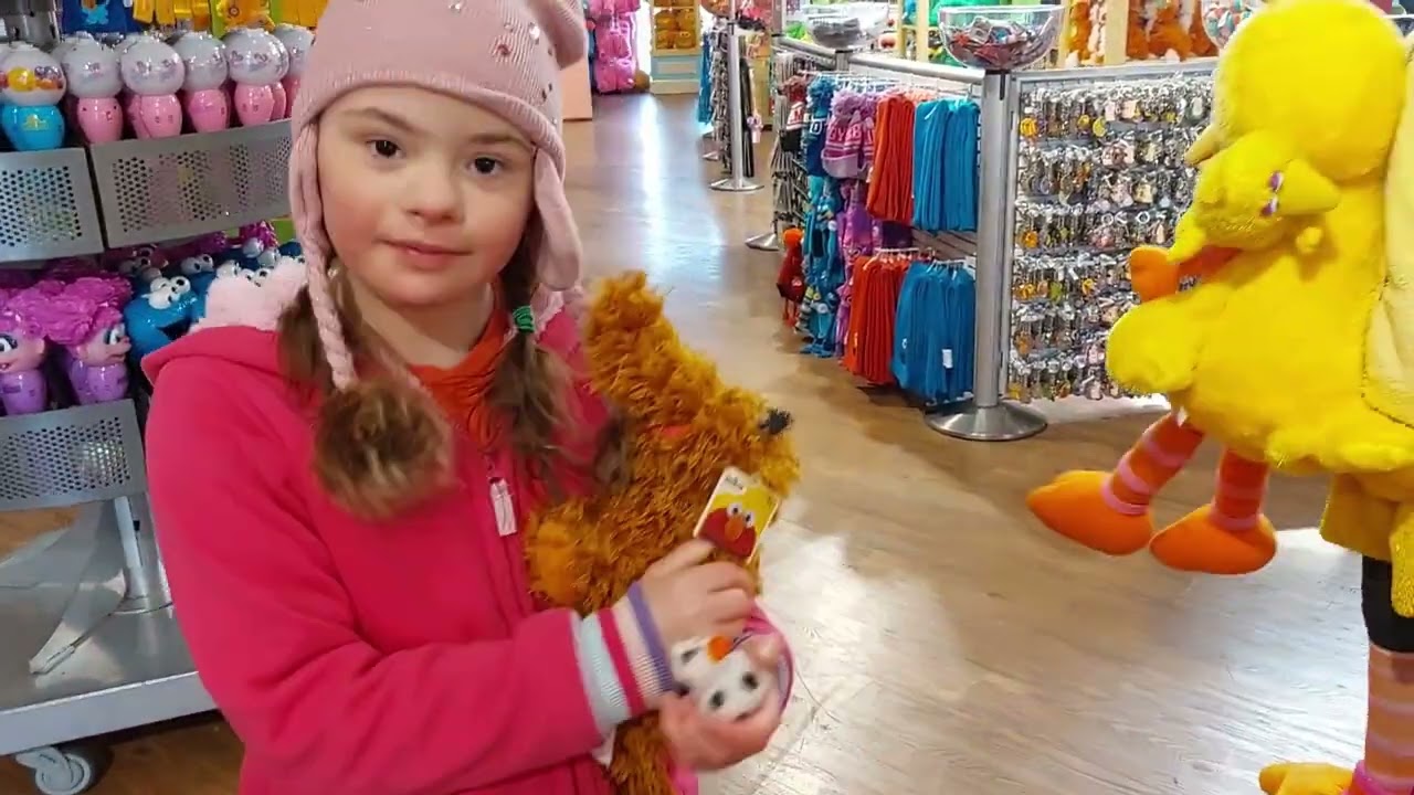 Izzy's Fun Day at Sesame Place with Sister Paige Worlds Down Syndrome Day 3/21/23