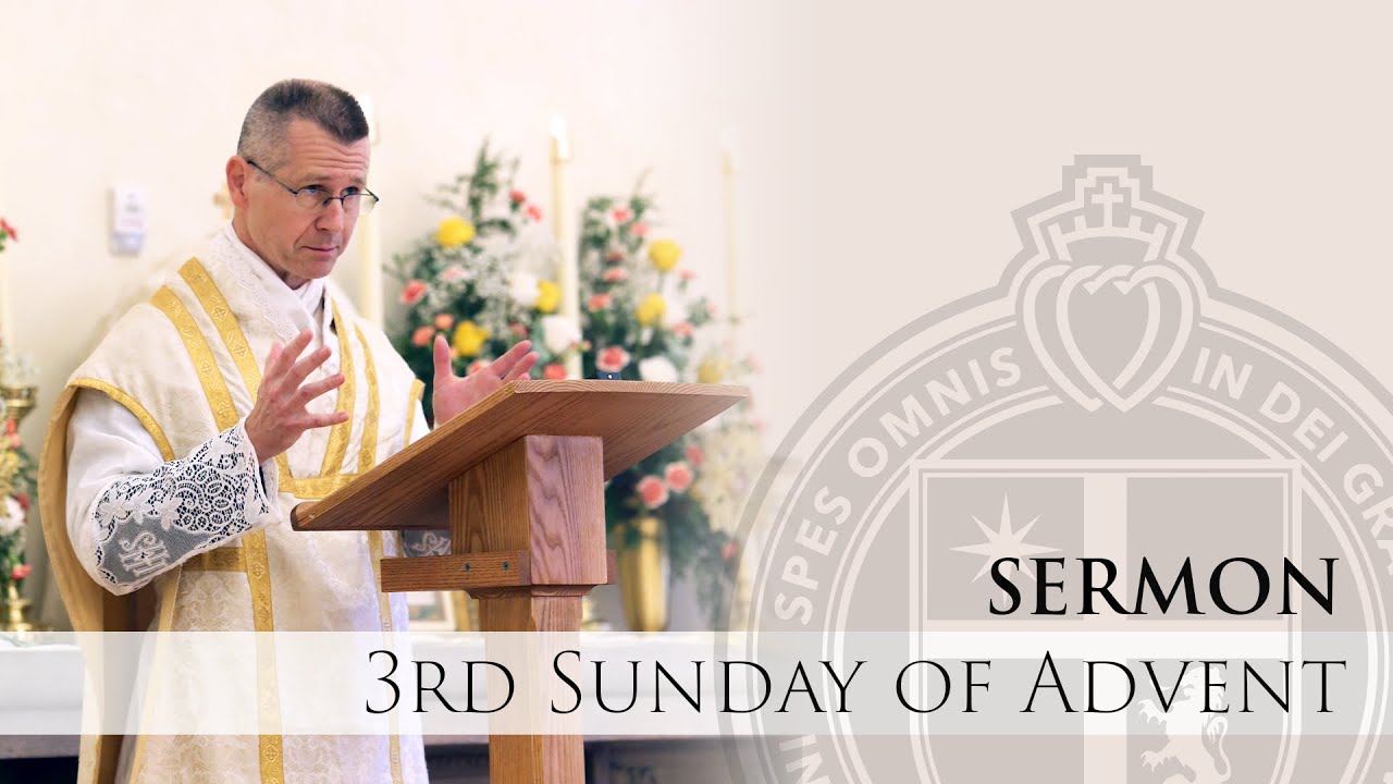 Sermon - Be Nothing Solicitous - Rev. Fr. Goshie - 12/11/22 - St Thomas Aquinas
