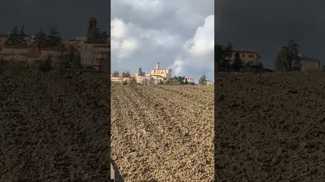 Semina grano 2019 in collina