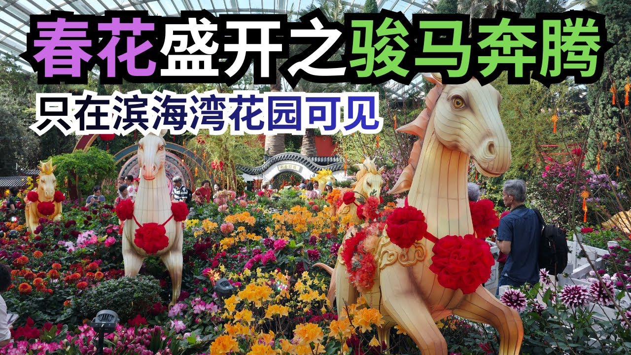 【新加坡必去】2026 新加坡滨海湾花园花穹 Flower Dome｜骏马奔腾花灯全纪录 | Gardens By The Bay