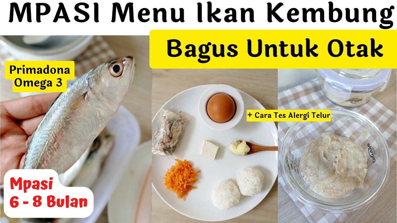 Mpasi Ikan Kembung Bayi 6 Bulan | Primadona Omega 3