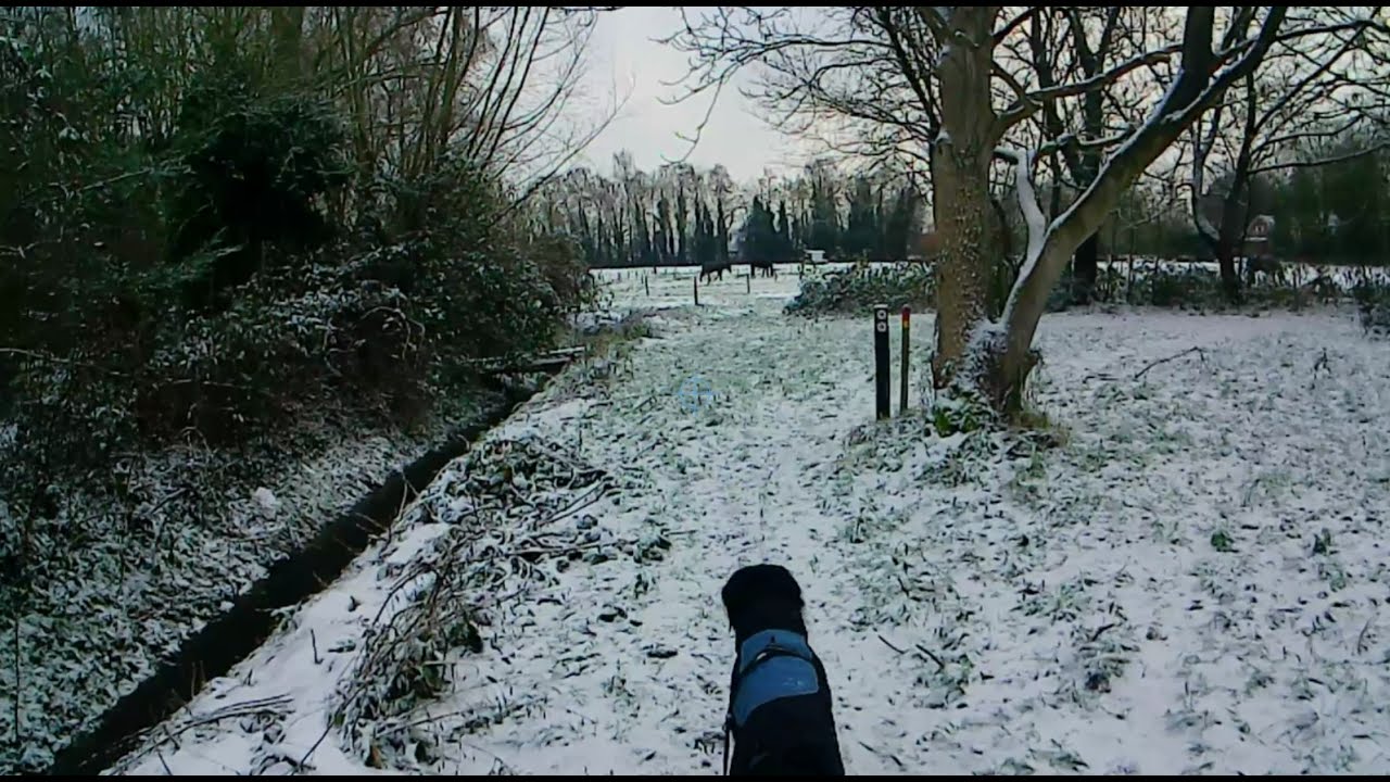 30 min. winter morning walk
