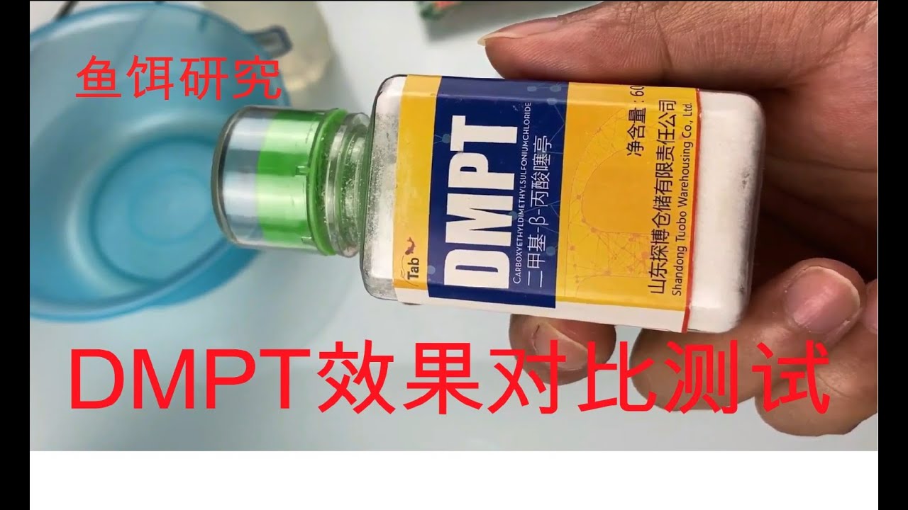 鱼饵研究dmpt效果对比实测