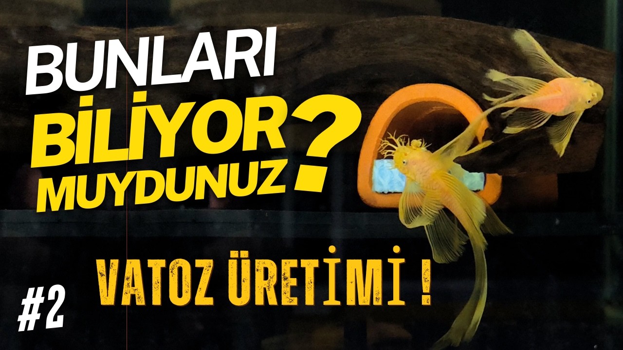 VATOZ ÜRETİMİ: Merak Ettiklerinizi Cevapladık