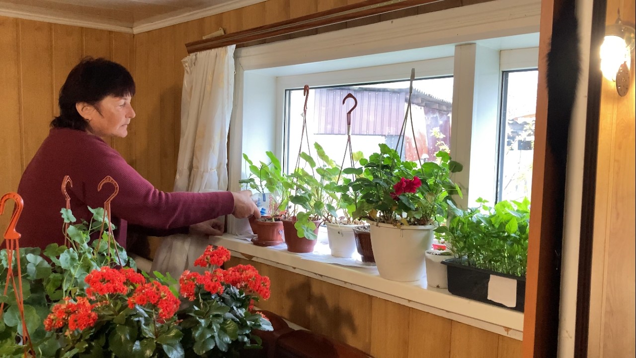 A Widow&rsquo;s Life in a Ukrainian Village 🌿 Quiet Strength & Hard Daily Work