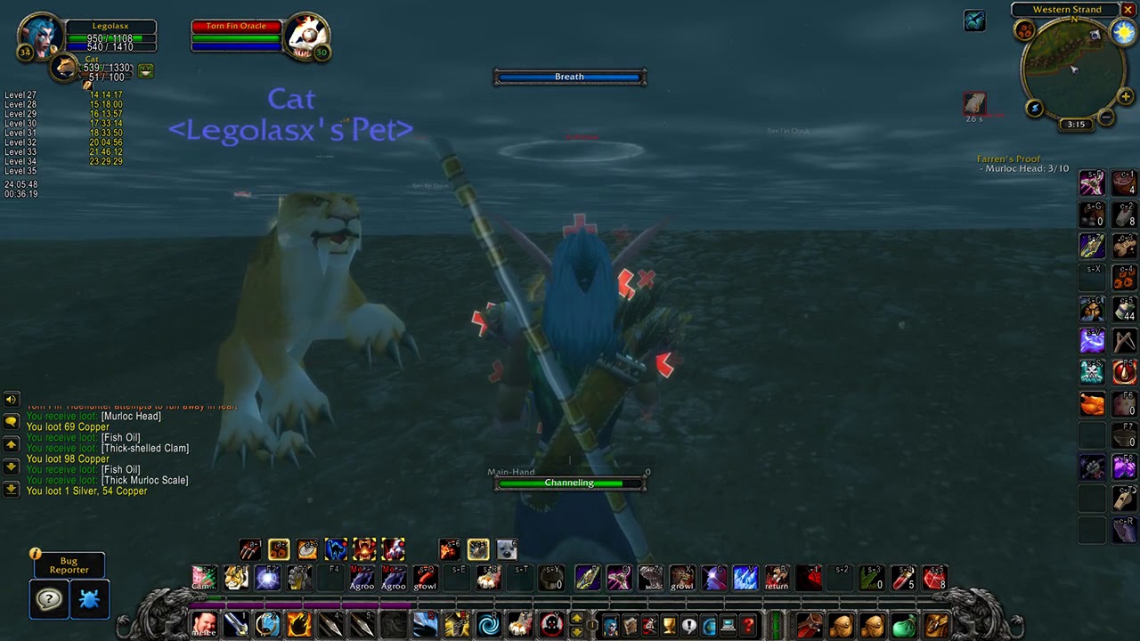 WoW Classic Alliance 1-40 speedrun by ahmpy (Part 3)