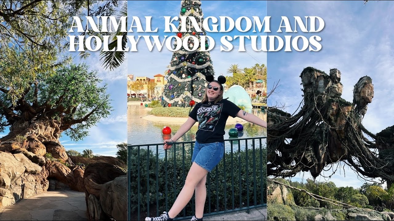 DAY TWO | SOLO DISNEY WORLD VLOG! - festival of the lion king, fantasmic, and shopping