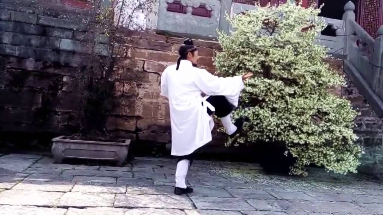 Wu Dang Mi Chuan Tai Chi Chuan 64 武当秘传太极拳64式【Xu Wei Han】