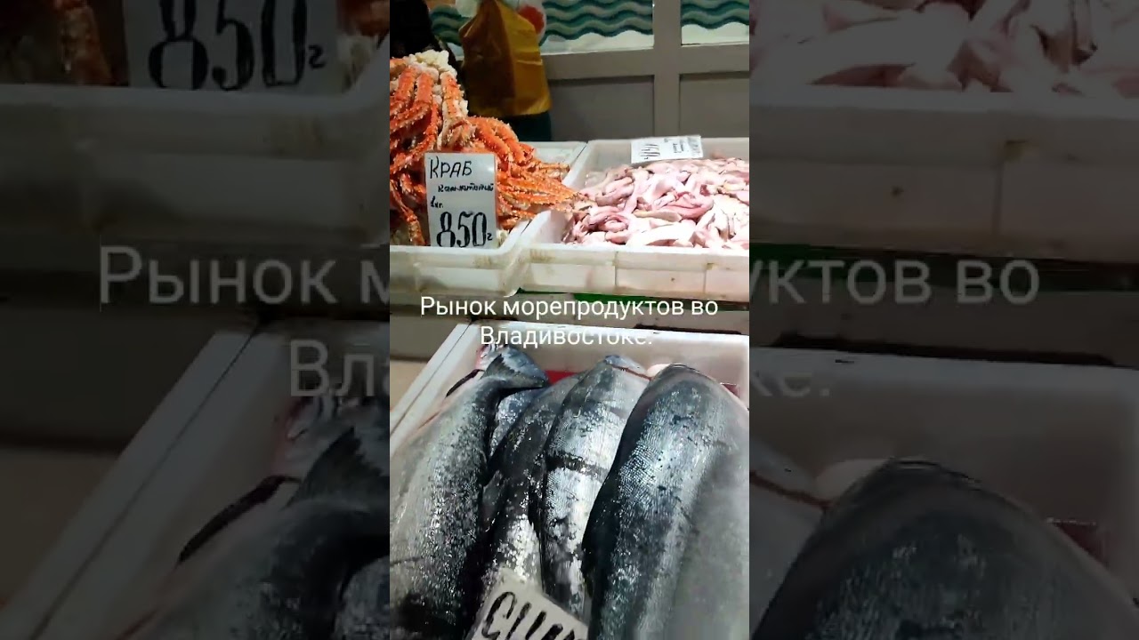 Рыбный ряд на Китайском рынке Владивостока. ПОДПИСЫВАЙТЕСЬ, БУДЕТ ИНТЕРЕСНО#владивосток #рынок #рыба