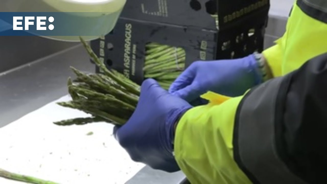 El día a día en un puesto de control fronterizo de alimentos de terceros países