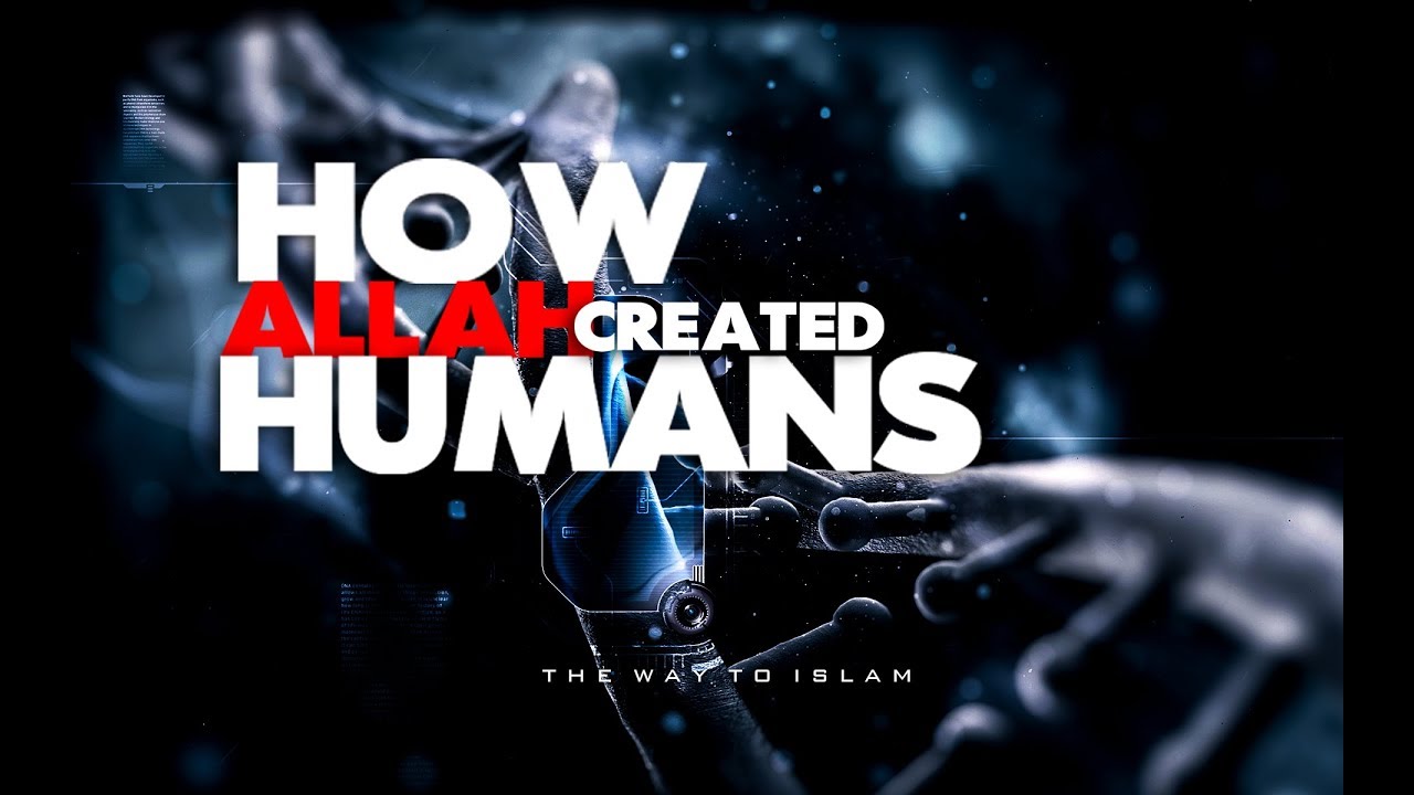 How Allah Created Humans ?