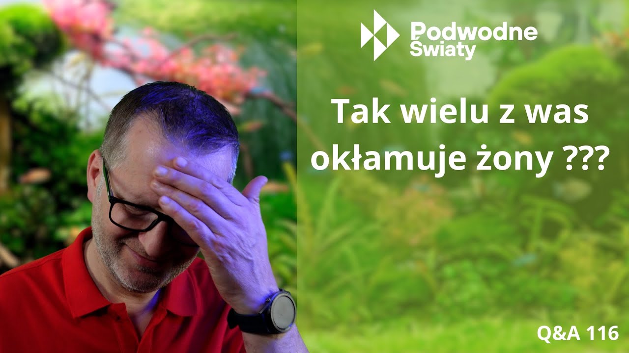 Q&A116. Tak wielu z was okłamuje żony???