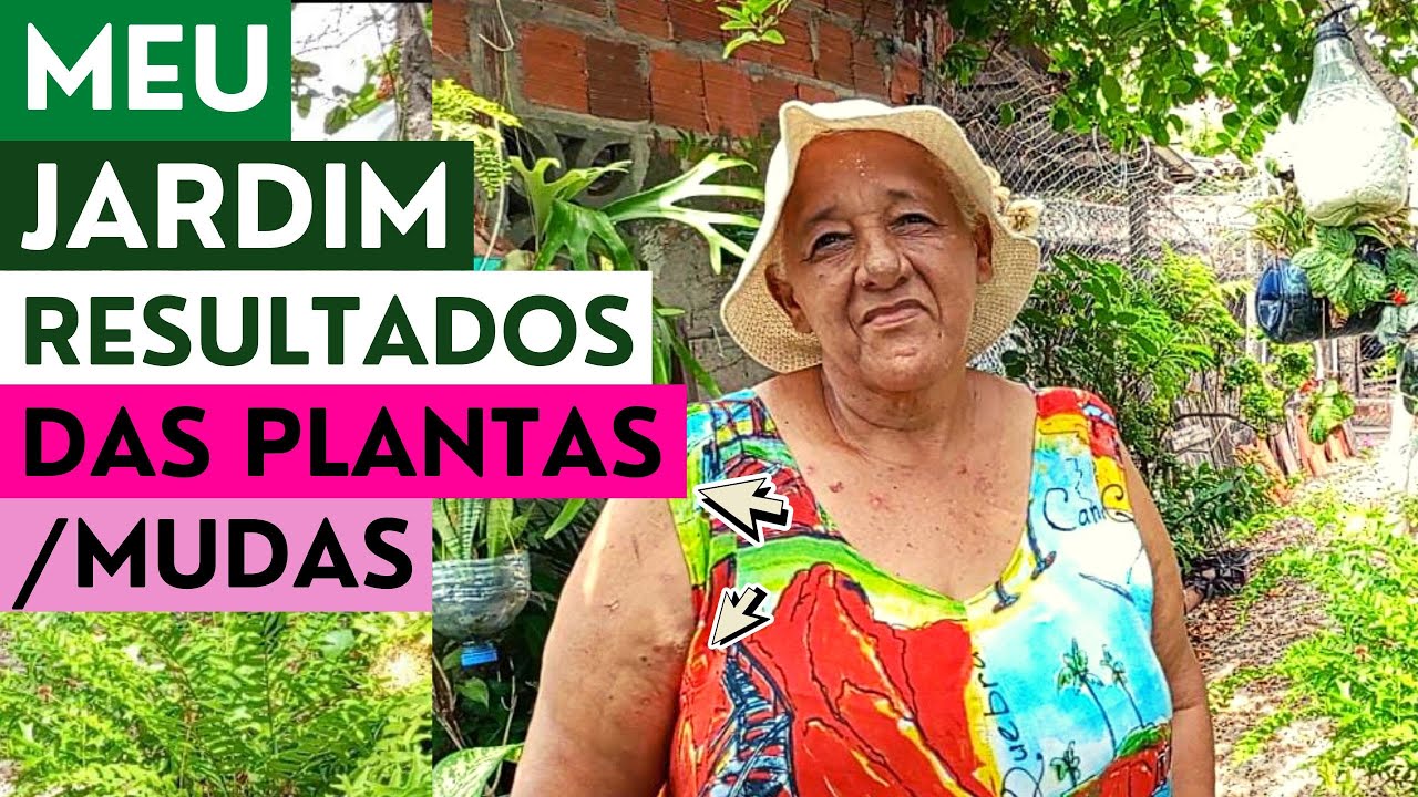 MEU JARDIM: RESULTADO DAS MUDAS VARIADAS