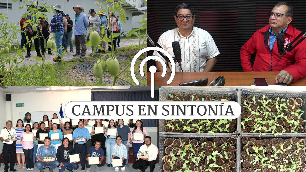 030226 CAMPUS EN SINTONIA