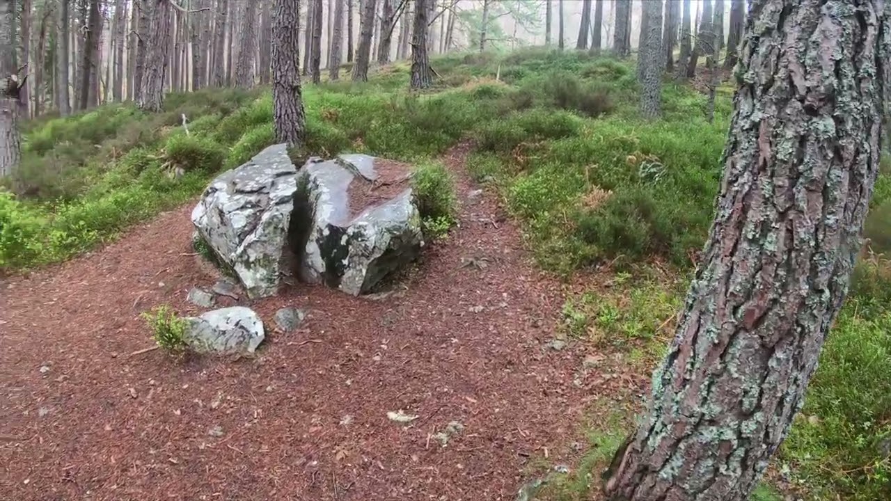 Hiking in the Cairngorms, Aviemore - Loch an Eilein, Rothiemurchus