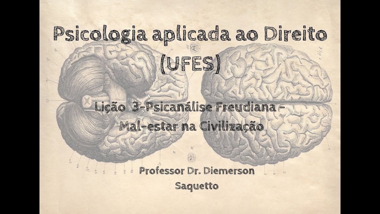 Terceira lição - Psicanálise Freudiana – elementos teóricos II - Mal-estar na Civilização
