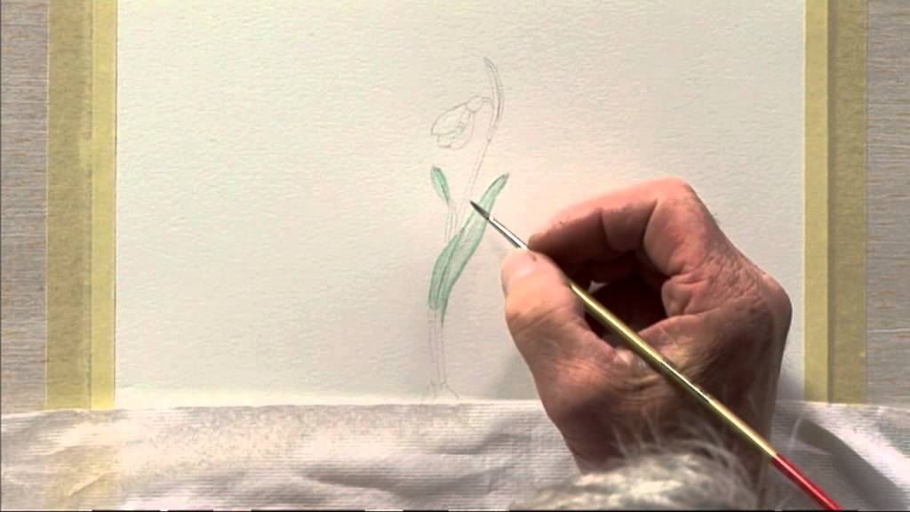 A-Z of Botanical Flowers Three - Snowdrop Programme One - Part One