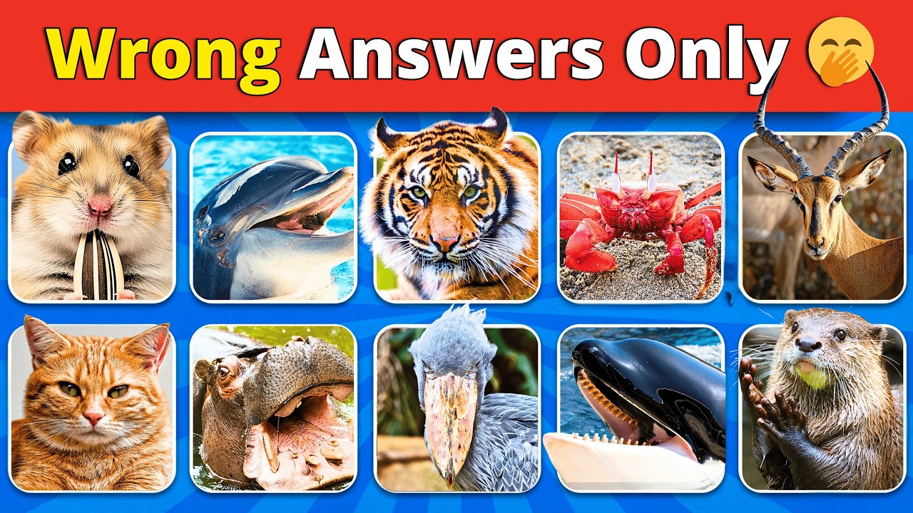 Can You Guess 60 Animals In 3 Seconds? | Hardest choices ever | Easy, Medium, Hard, Impossible Quiz