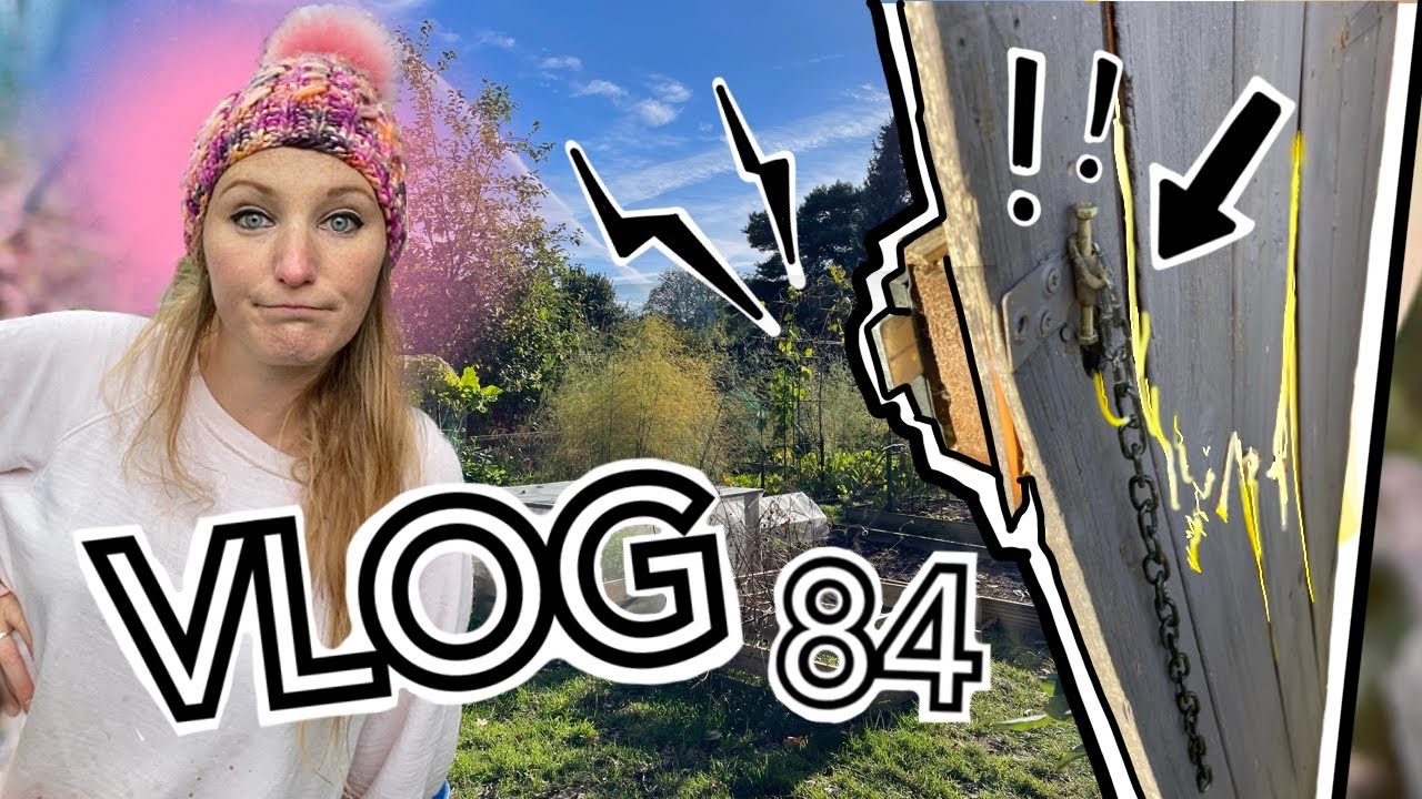 Drama on the Plot! And protecting the Perennial Brassicas || Plot 37 (Episode 84)