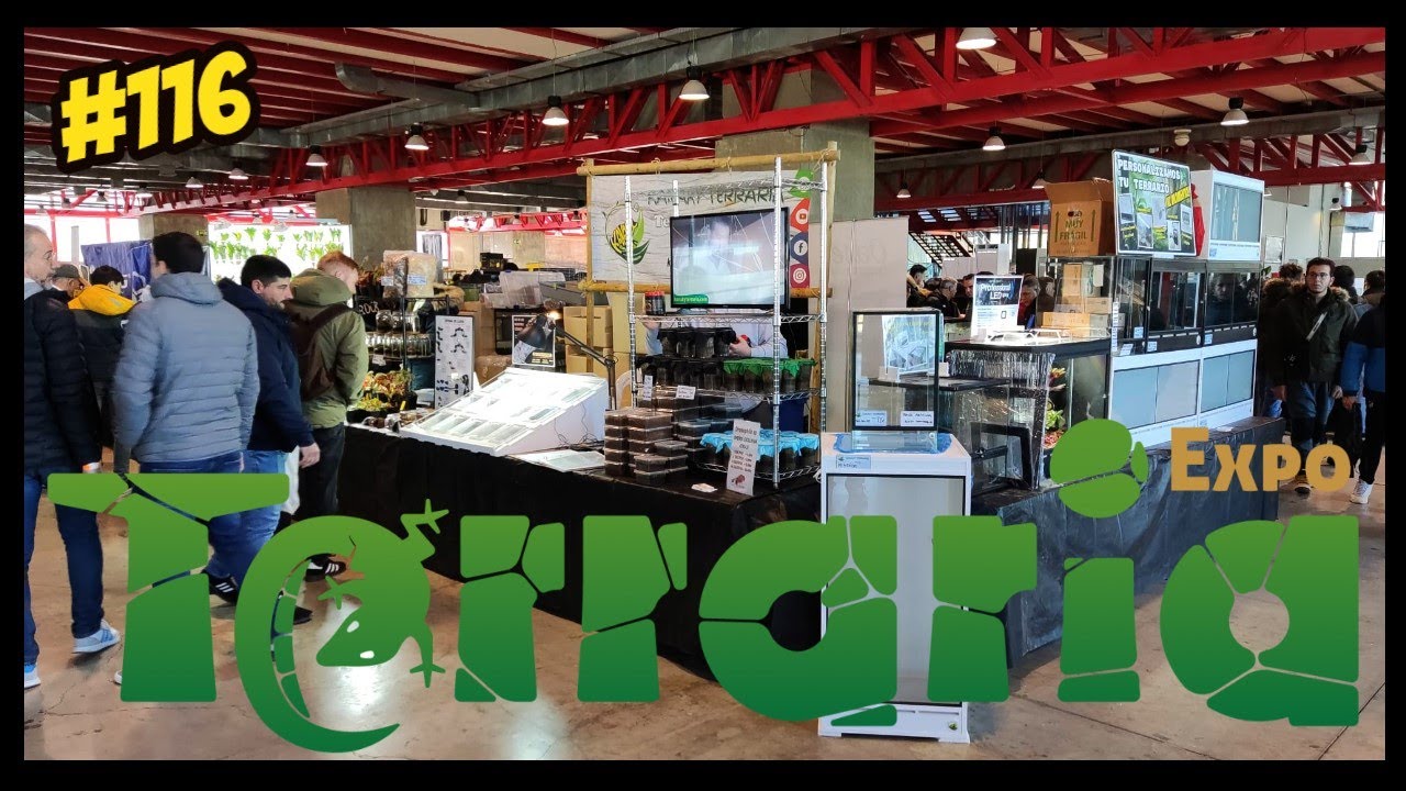 🦎EXPOTERRARIA MADRID MARZO 2023 🐍 | KANAKY VLOG #116
