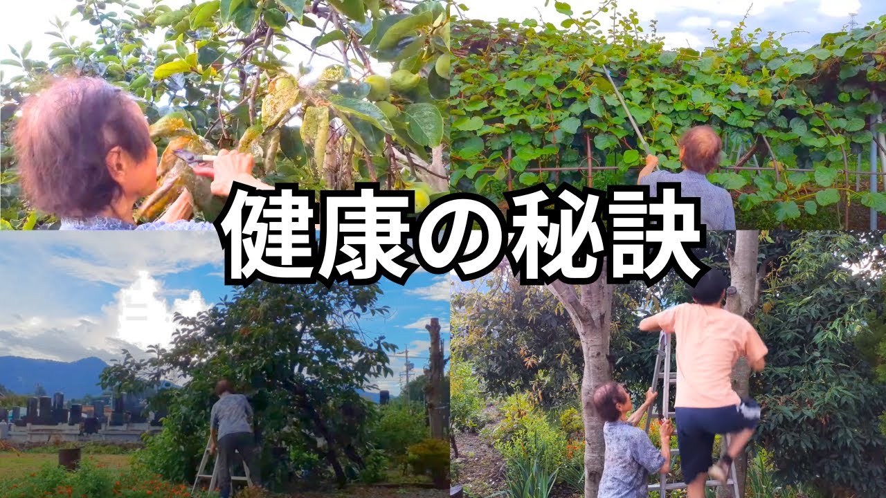 【健康】おばあちゃんは一日にどれくらい体を動かしてるの？