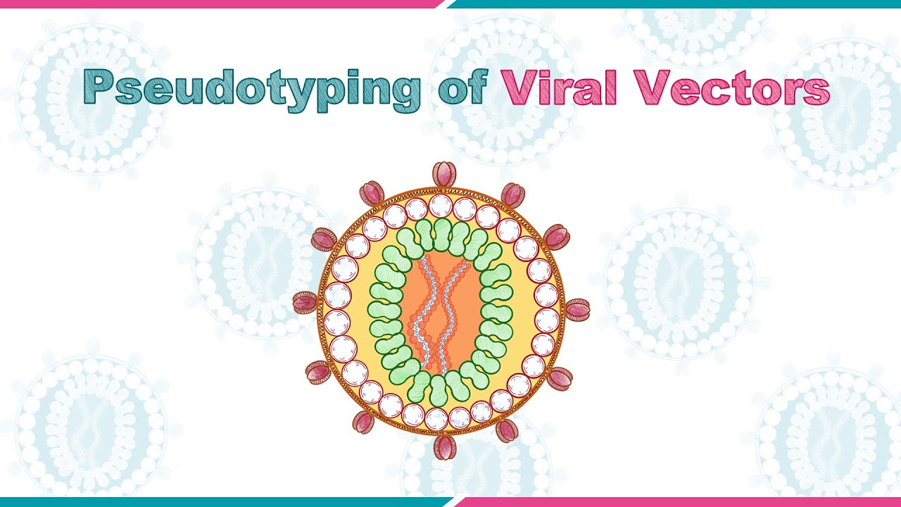Pseudotyping of Viral Vectors