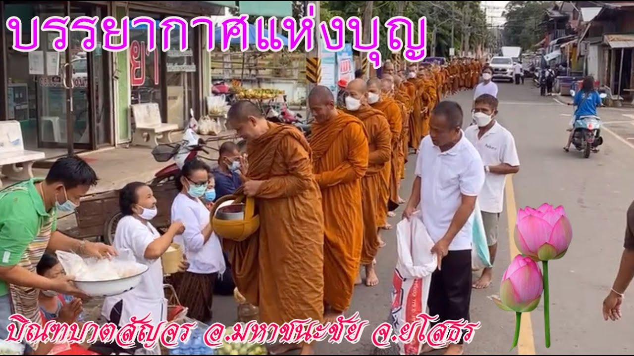บรรยากาศแห่งบุญยามเช้า #โครงการบิณฑบาตสัญจร อ.มหาชนะชัย จ.ยโสธร - ๒๔ สิงหาคม ๒๕๖๕ อุทยานธรรมดงยาง
