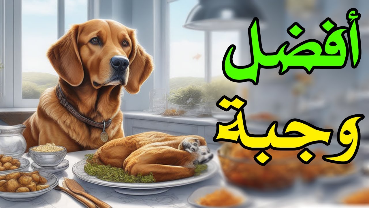 افضل وجبة تزود وزن كلبك وتغذيه وغير مكلفة نهائي للجراوي والكلاب الكبيرة