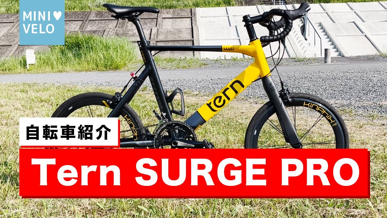 【自転車紹介】Tern SURGE PRO