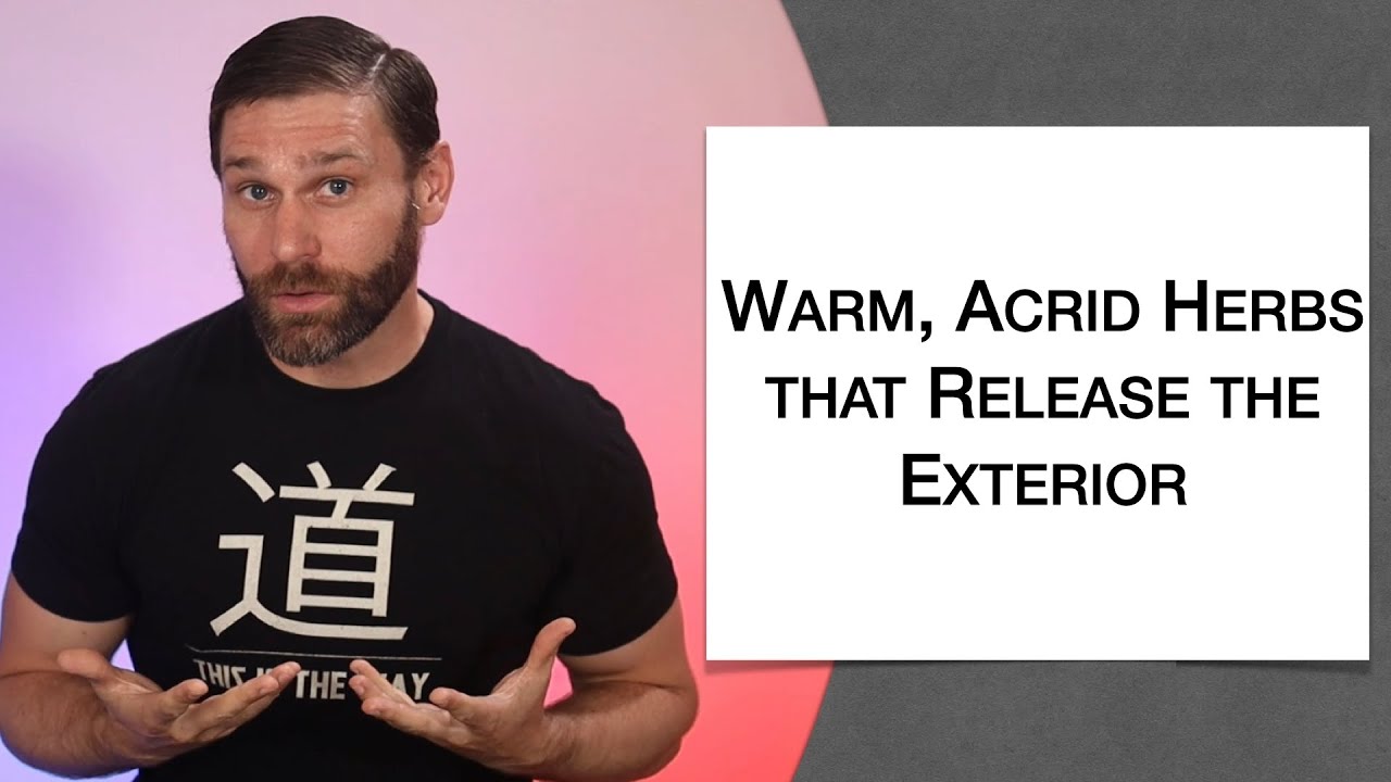 🌿 Herbology 1 Review - Warm Acrid Herbs that Release the Exterior (Extended Live Lecture)