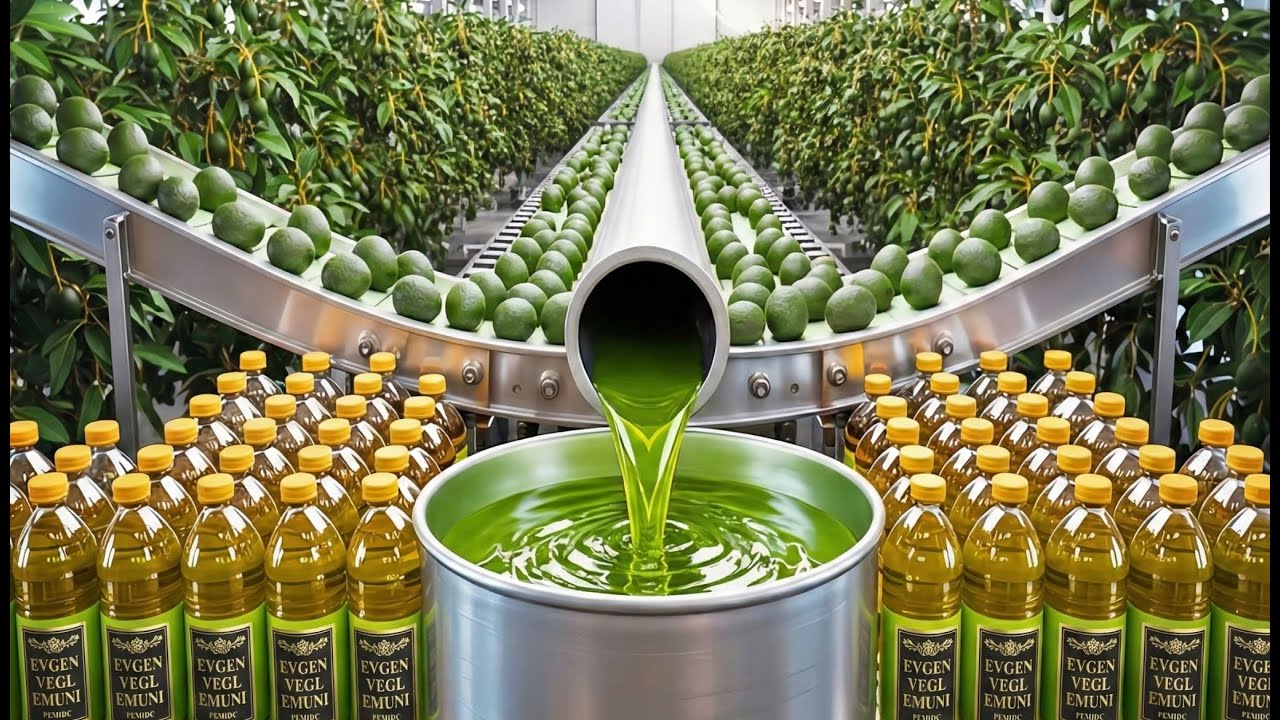 Inside Factory: How Extra Virgin Avocado Oil Is Made (Full Process)