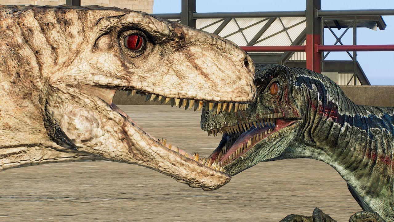 ATROCIRAPTOR (Ghost) VS VELOCIRAPTOR (Blue)!!! - Jurassic World Evolution 2