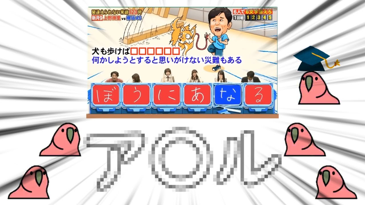 【Party Parrot】下ネタ放送事故で踊り狂うParrot【パーティーパロット】【TINTIN Parrot】