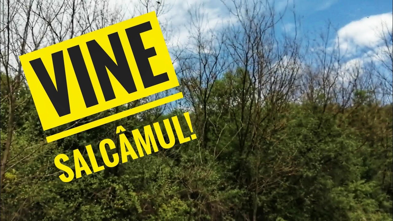 Ne pregătim de marele cules!