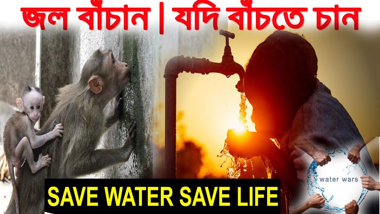 Save Water Save Earth|Water Crisis in India|Water Crisis West Bengal, Kolkata| Walk With Bong Boys