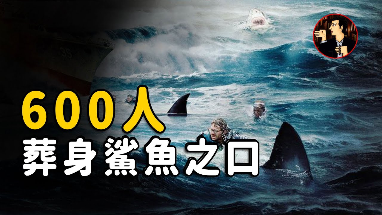 1195人只有316人生還，人類史上最大規模鯊魚攻擊人類事件，美國歷史上最大海難背後的真相，印第安納波利斯（indianapolis）