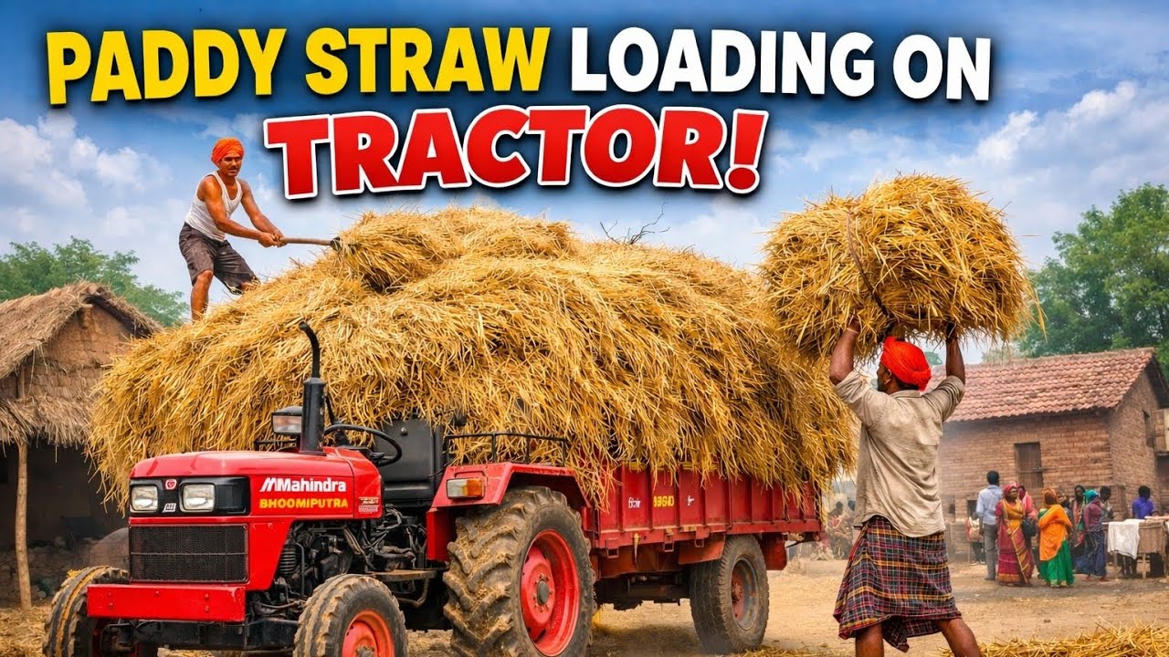 Paddy straw ( vaikkol ) Loading Unloading vlog 🌾  On Tractor 🚜