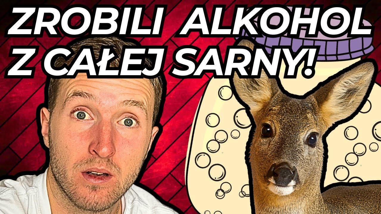TAK PRZYWITAŁ NAS WIETNAM! | DELTA MEKONGU