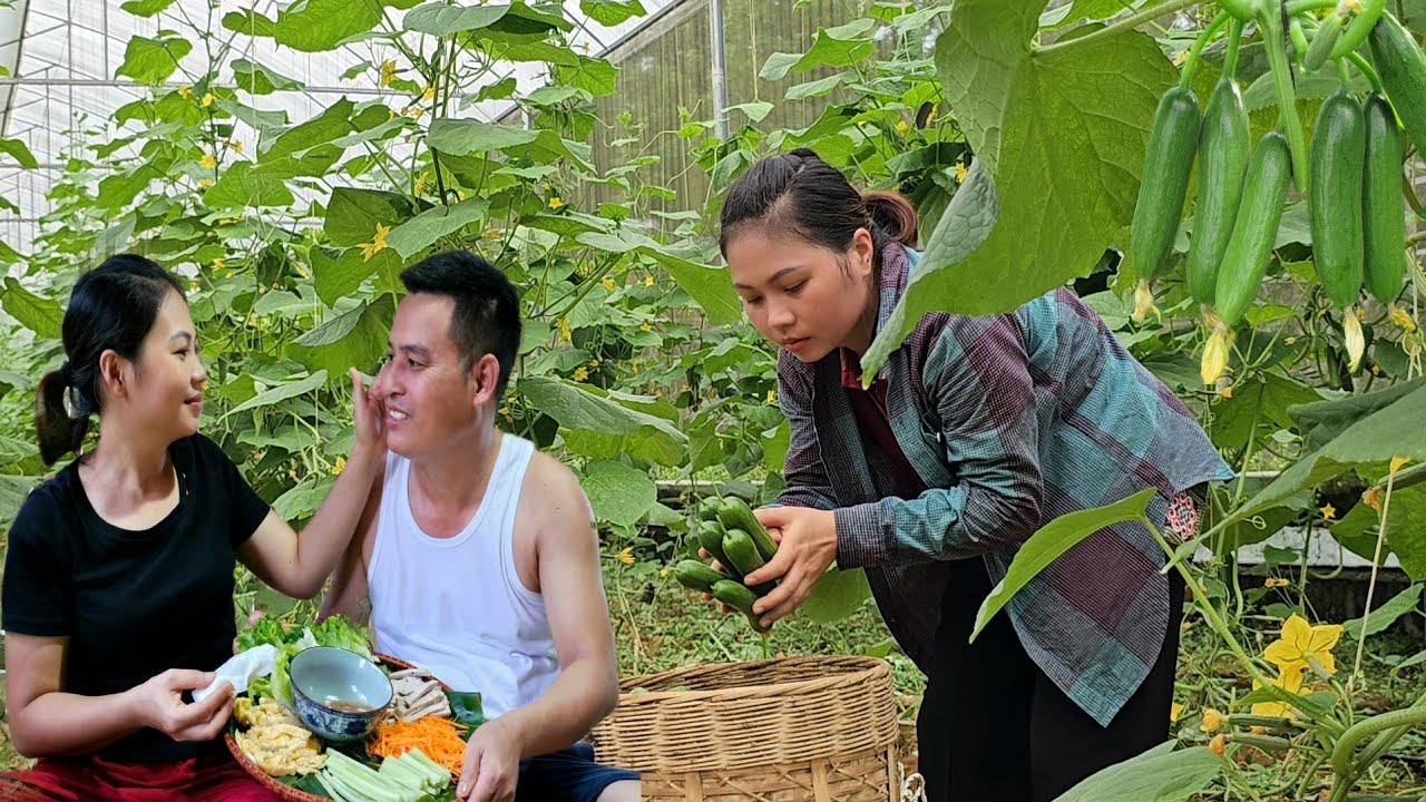 Harvesting young cucumbers to sell at the market, my husband grows bananas. Enjoy pho rolls together