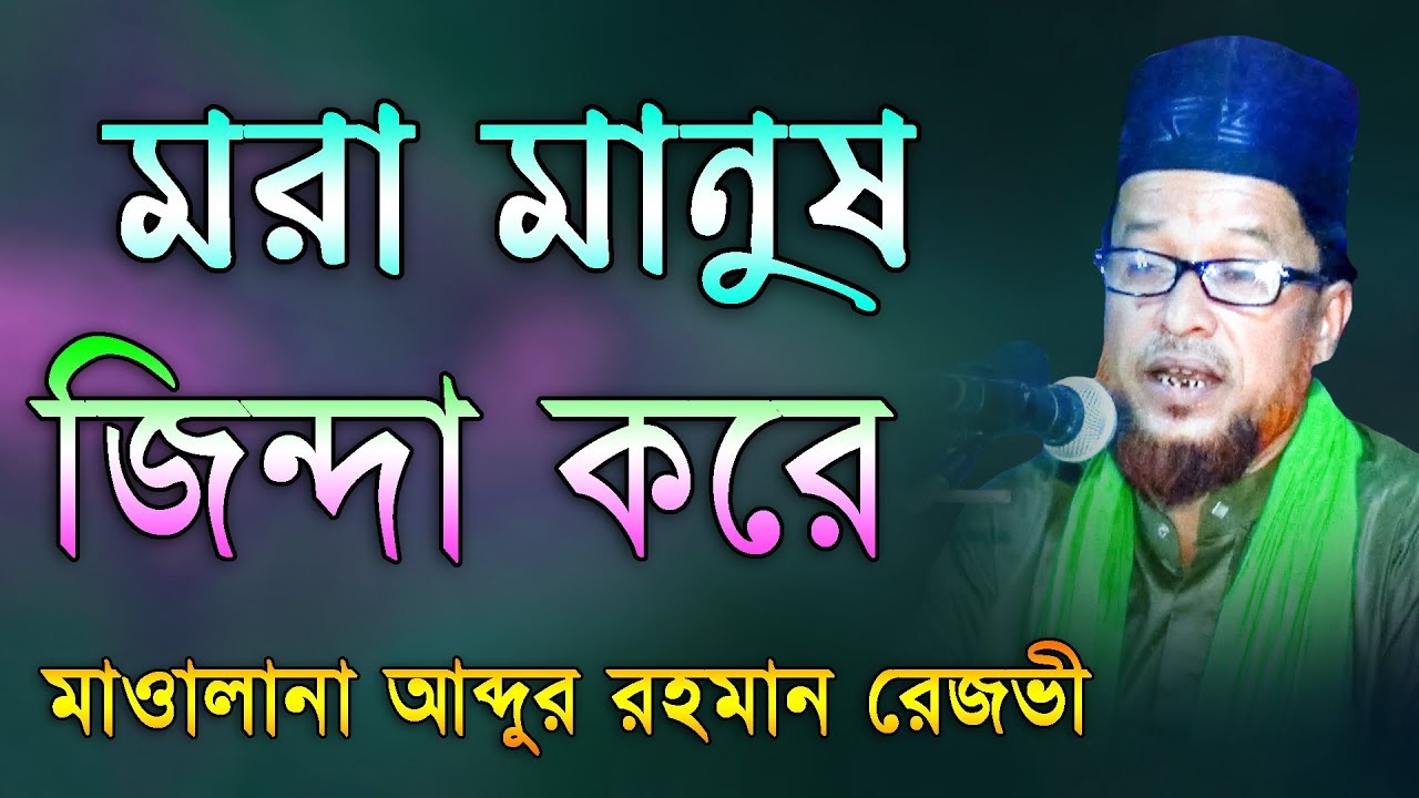 মাওঃ আব্দুর রহমান রেজভী, Abdur Rahman Rezvi || Mridha Media Waz