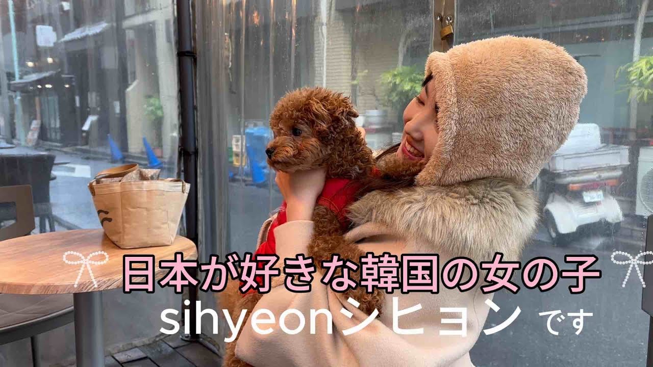 （初映像！🙇‍♀️）日本が好きな韓国の女子kpop先生、ceanworldです！🇰🇷